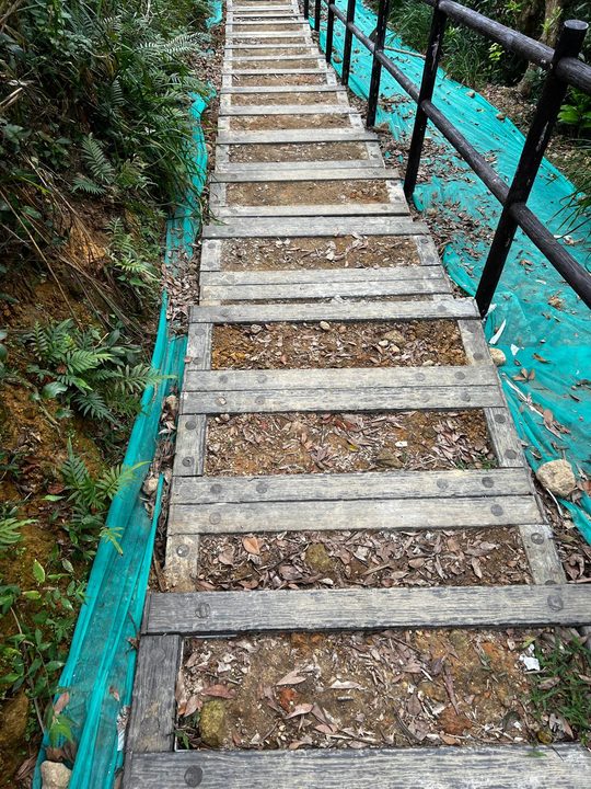 Anderson Road Hong Kong composite wood project — photo 1